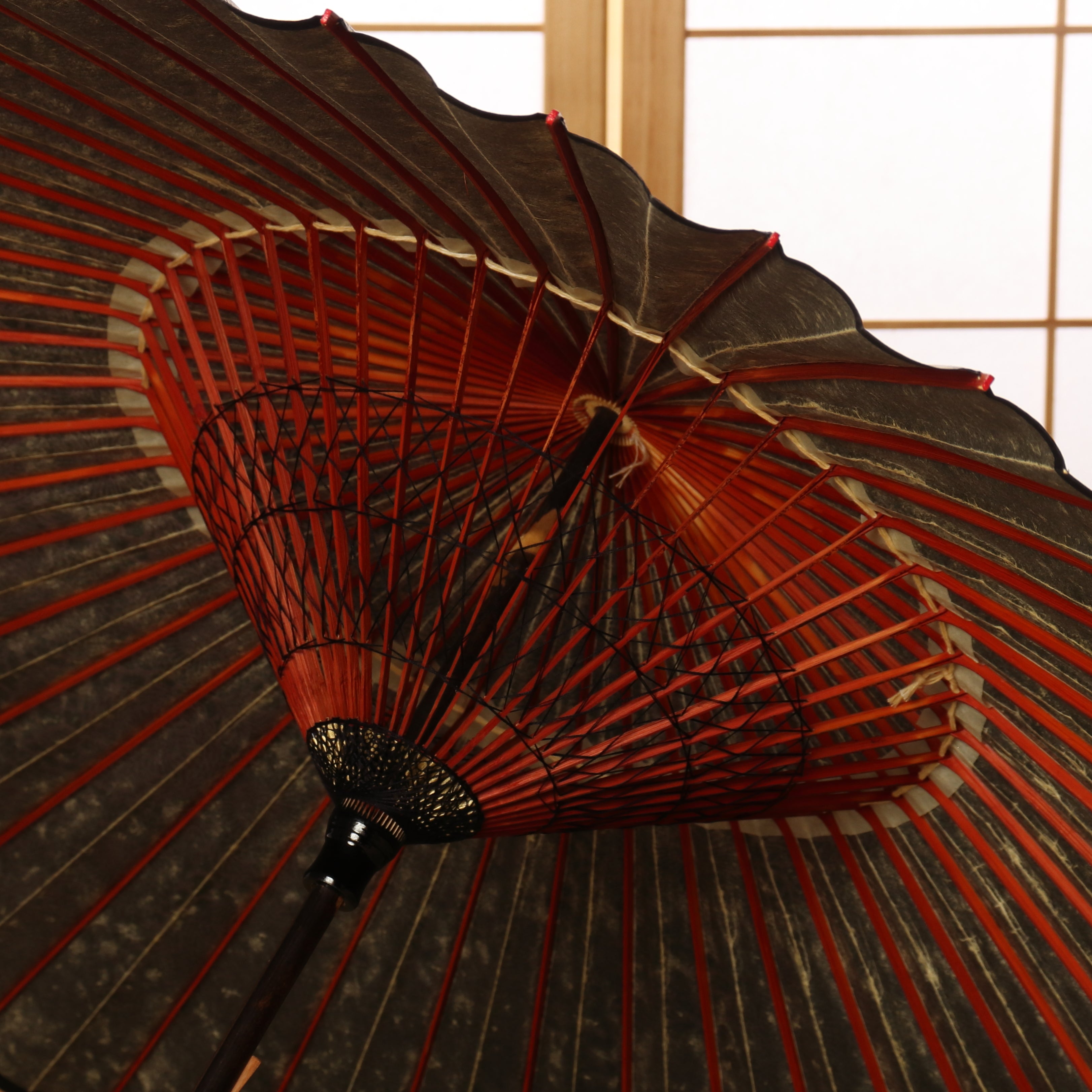 Matcha Green/Light Blue