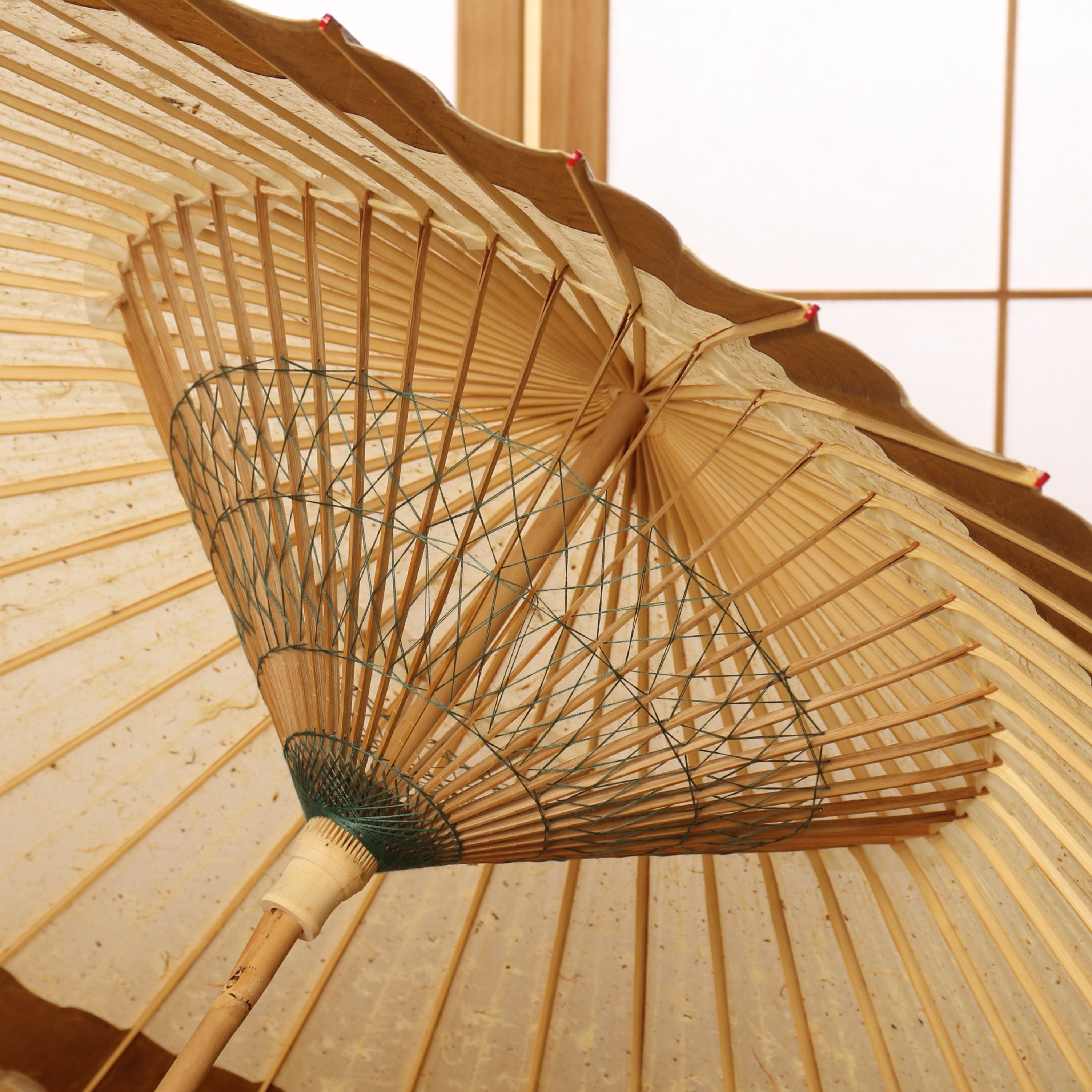 Blizzard and Red Moon / KIWAMI / High Quality Tsukiyakko