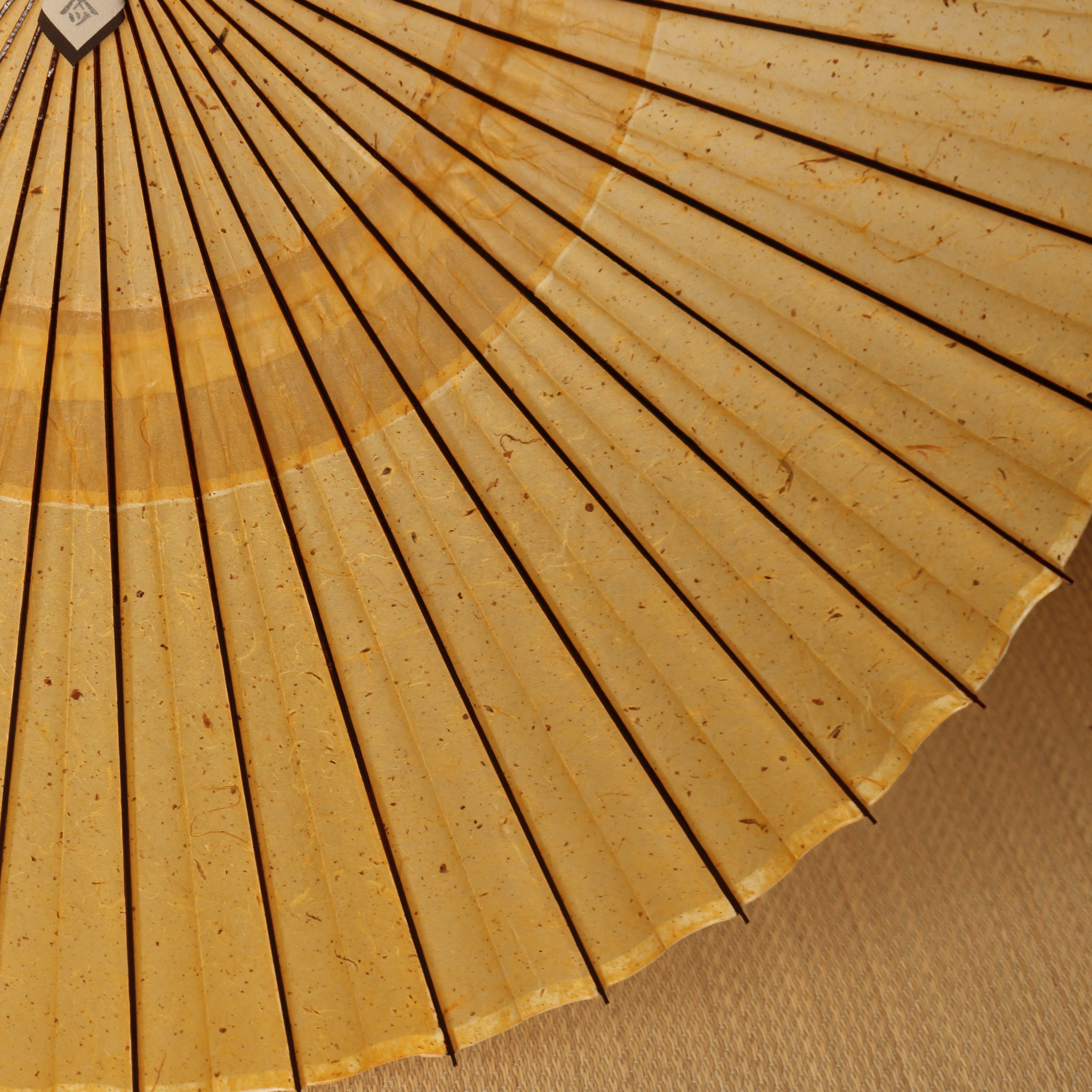 辻倉『極み』蛇の目柄/黒谷 / 琥珀霞