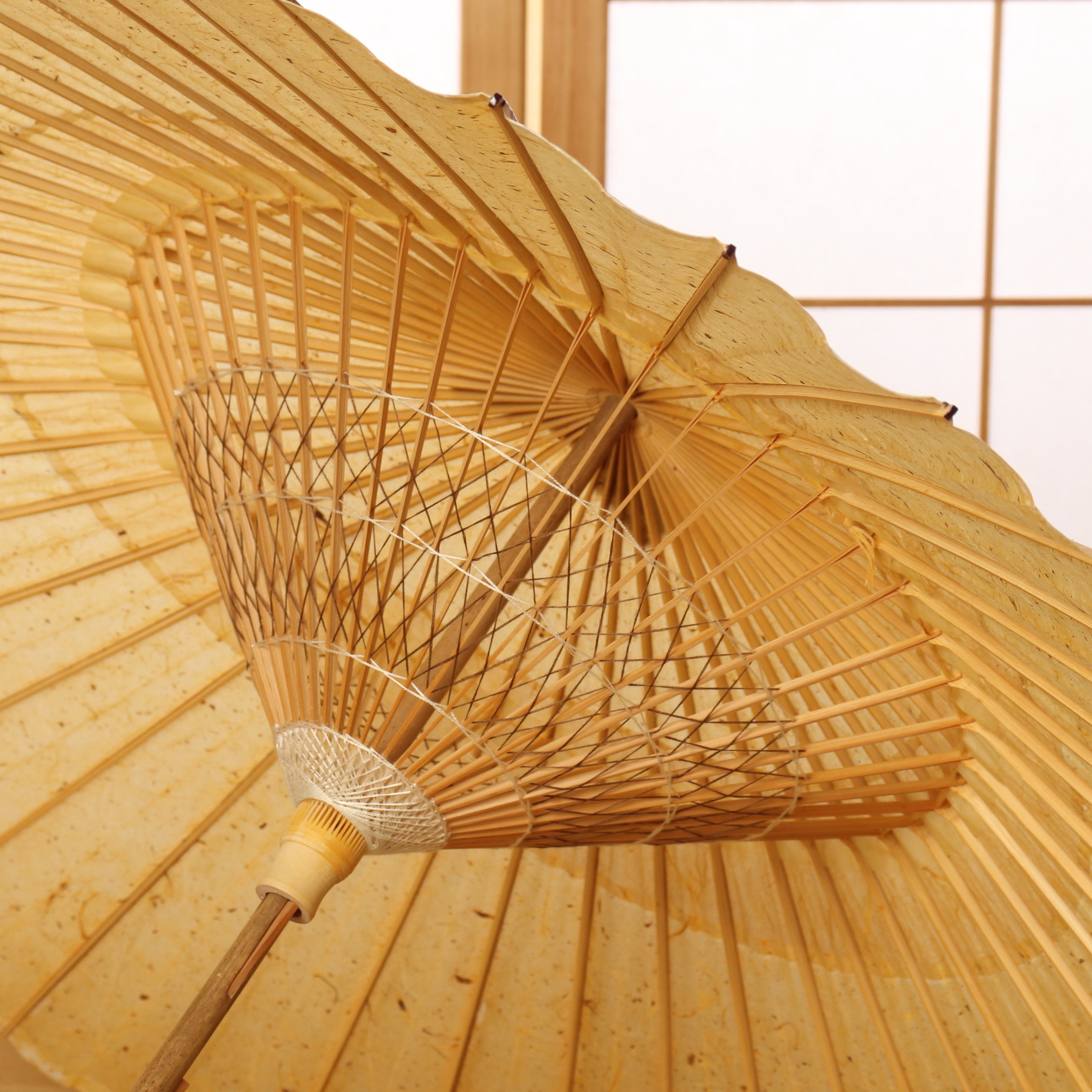 辻倉『極み』蛇の目柄/黒谷 / 琥珀霞