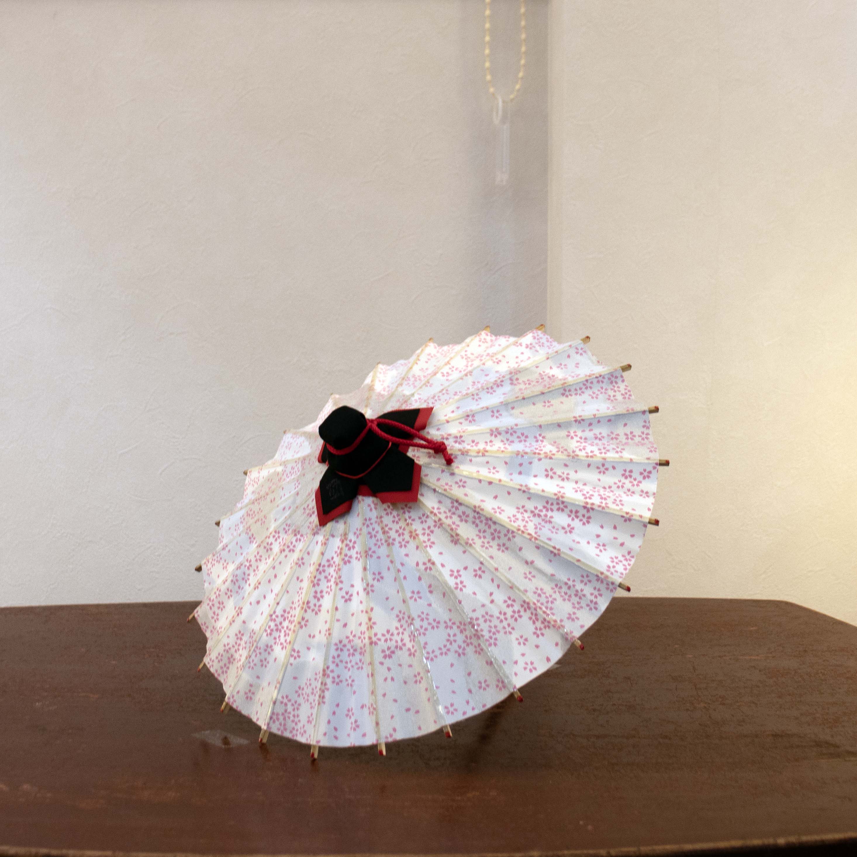 姫和傘 『花かすみ』銀