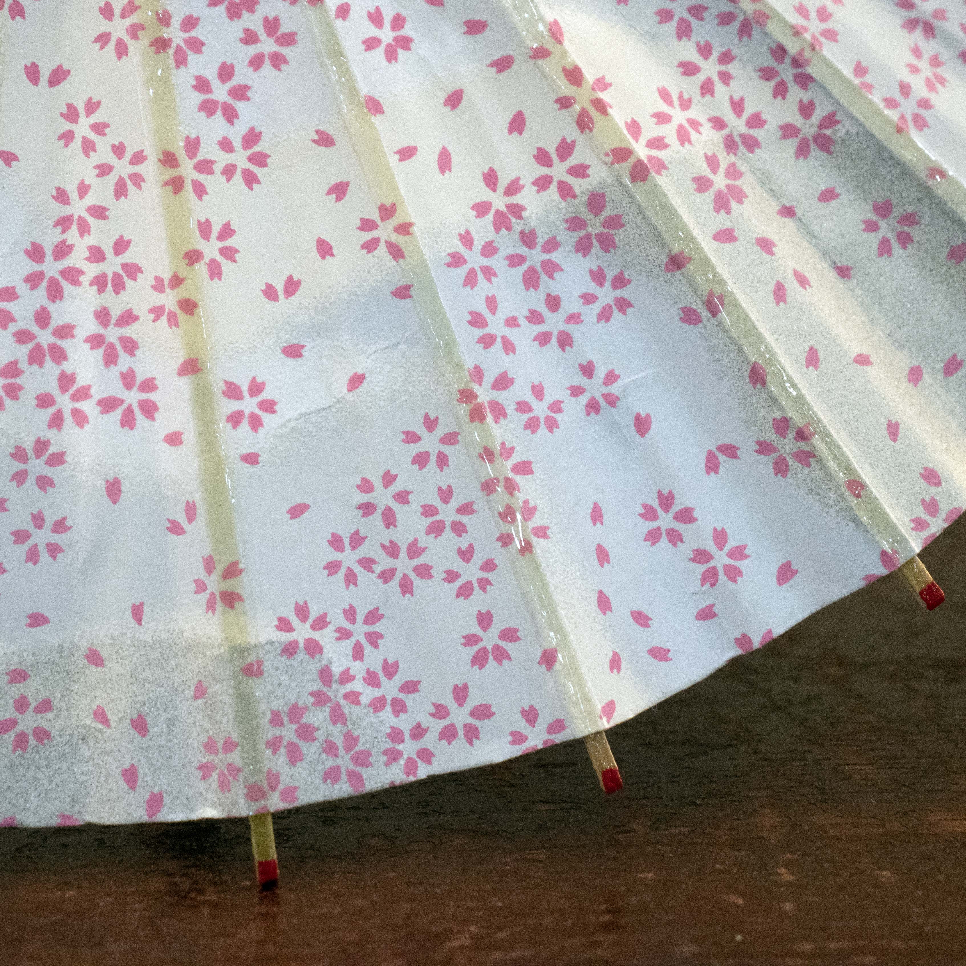 Water Surface/ Mini Wagasa