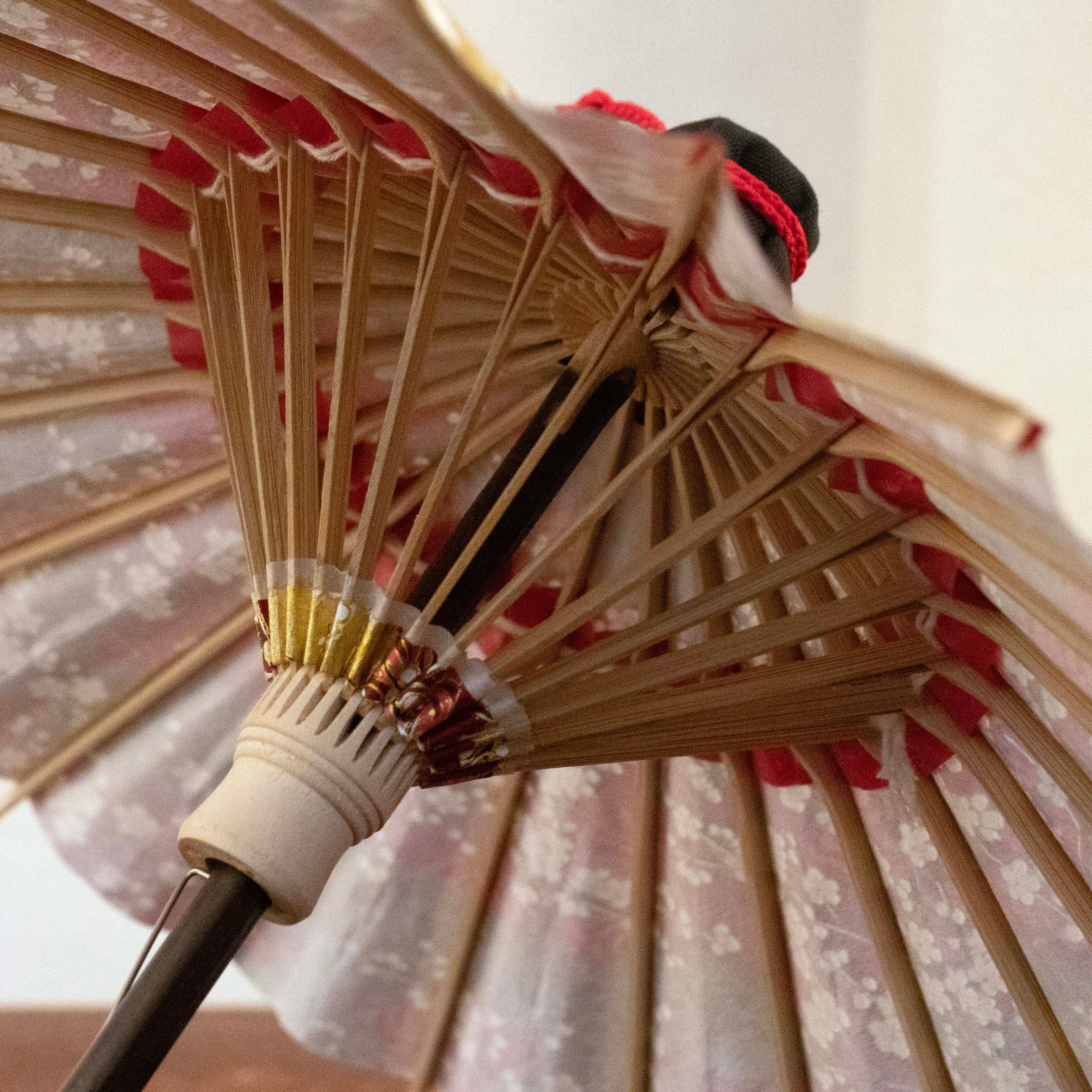 Double Cherry Blossoms/ Mini Wagasa