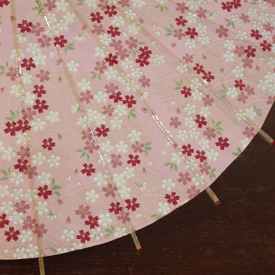 姫和傘 大寸『川面に桜』