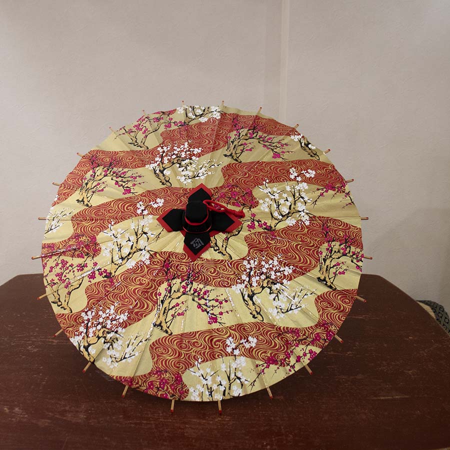 姫和傘 大寸『紅梅白梅 観世流水 赤』