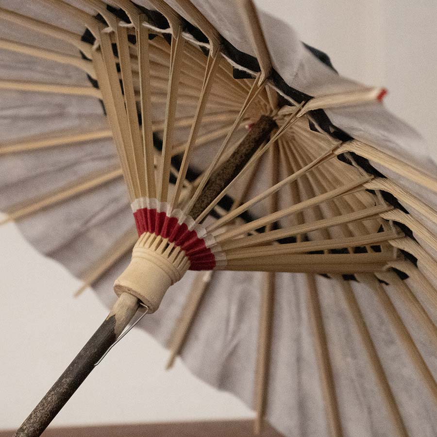 姫和傘 大寸『金彩 花筏』