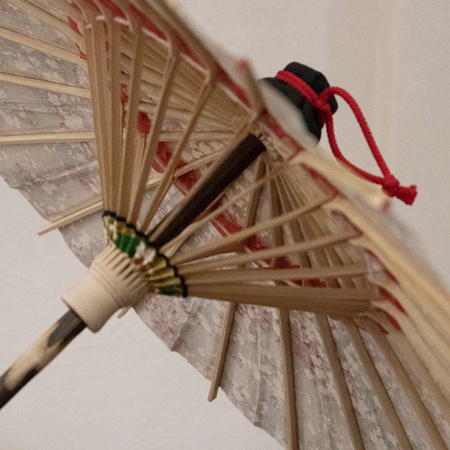 姫和傘 大寸『雲どり流水に白梅 緑』