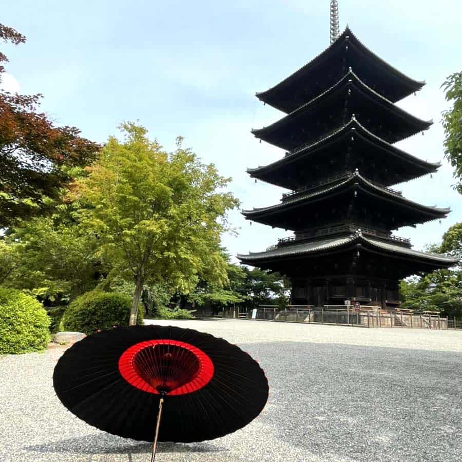 艶消し特選蛇の目柄 『漆黒に紅』