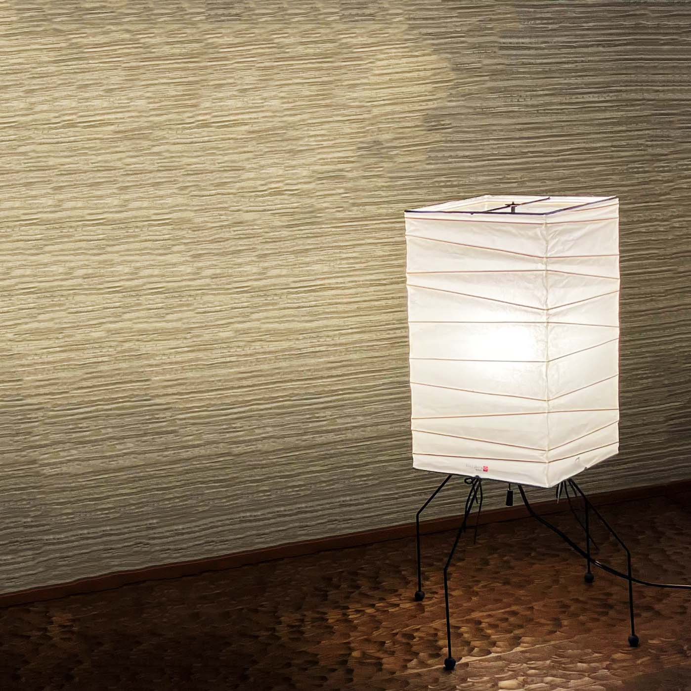 Tsujikura Light / Nagomi TSUZUMI