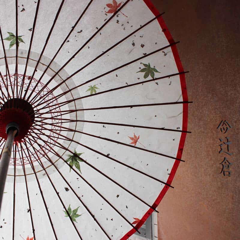 Paper Naturally Parasol “Black Bamboo”(White)/Autumn leaves