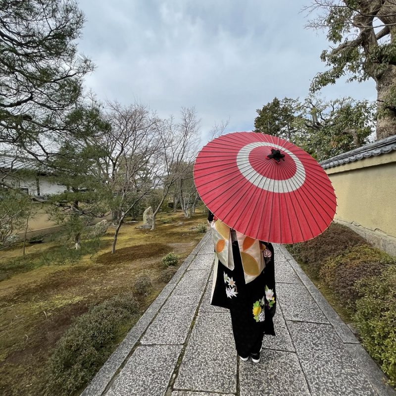 赤色の蛇の目柄の和傘をもつ女性の後ろ姿