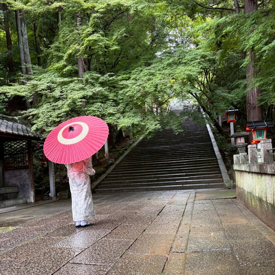 日本最古の京都和傘屋 辻倉