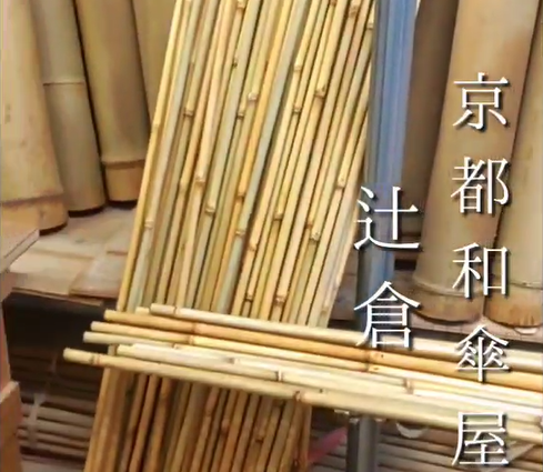 柄竹の切り出し作業