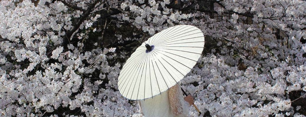 和傘を選ぶ（和日傘）