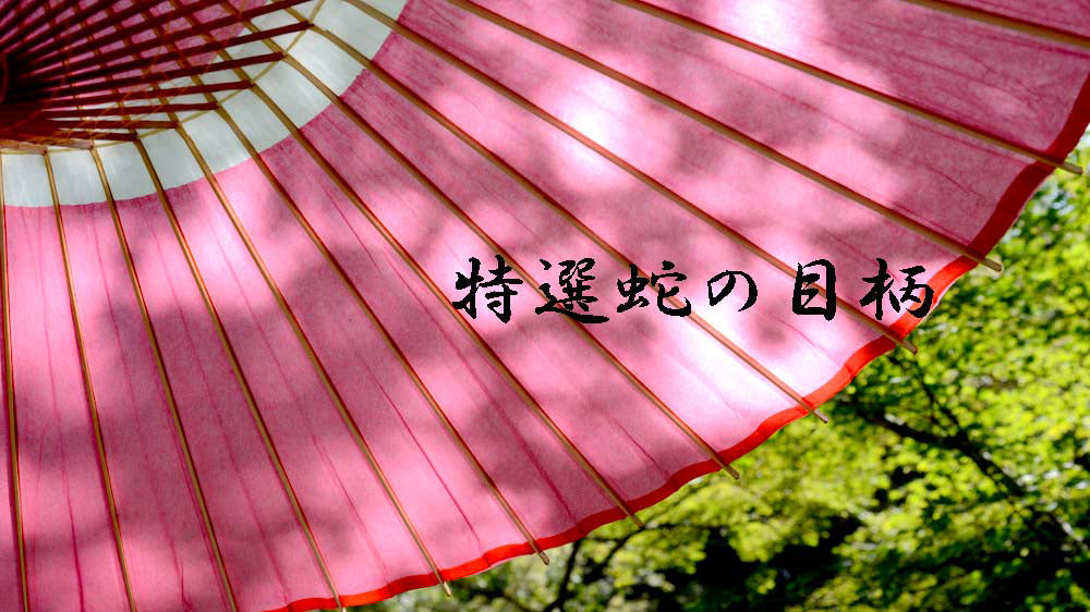 和傘 特選蛇の目傘 蛇の目柄 黒 ／雨傘／番傘 : 和傘・野点傘