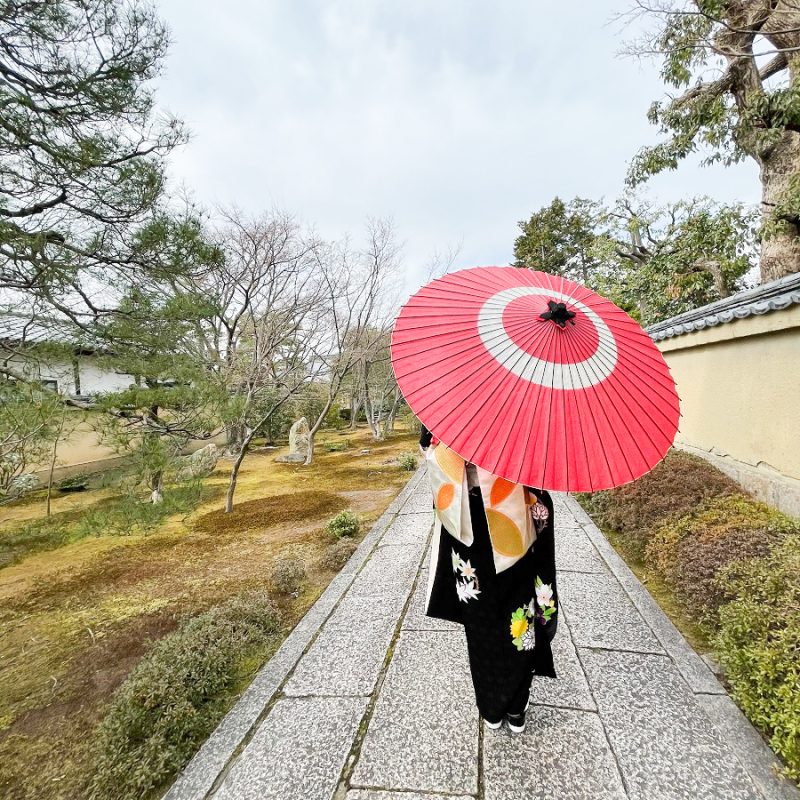 Specially selected snake eye pattern - Kyoto Wagasa parasol