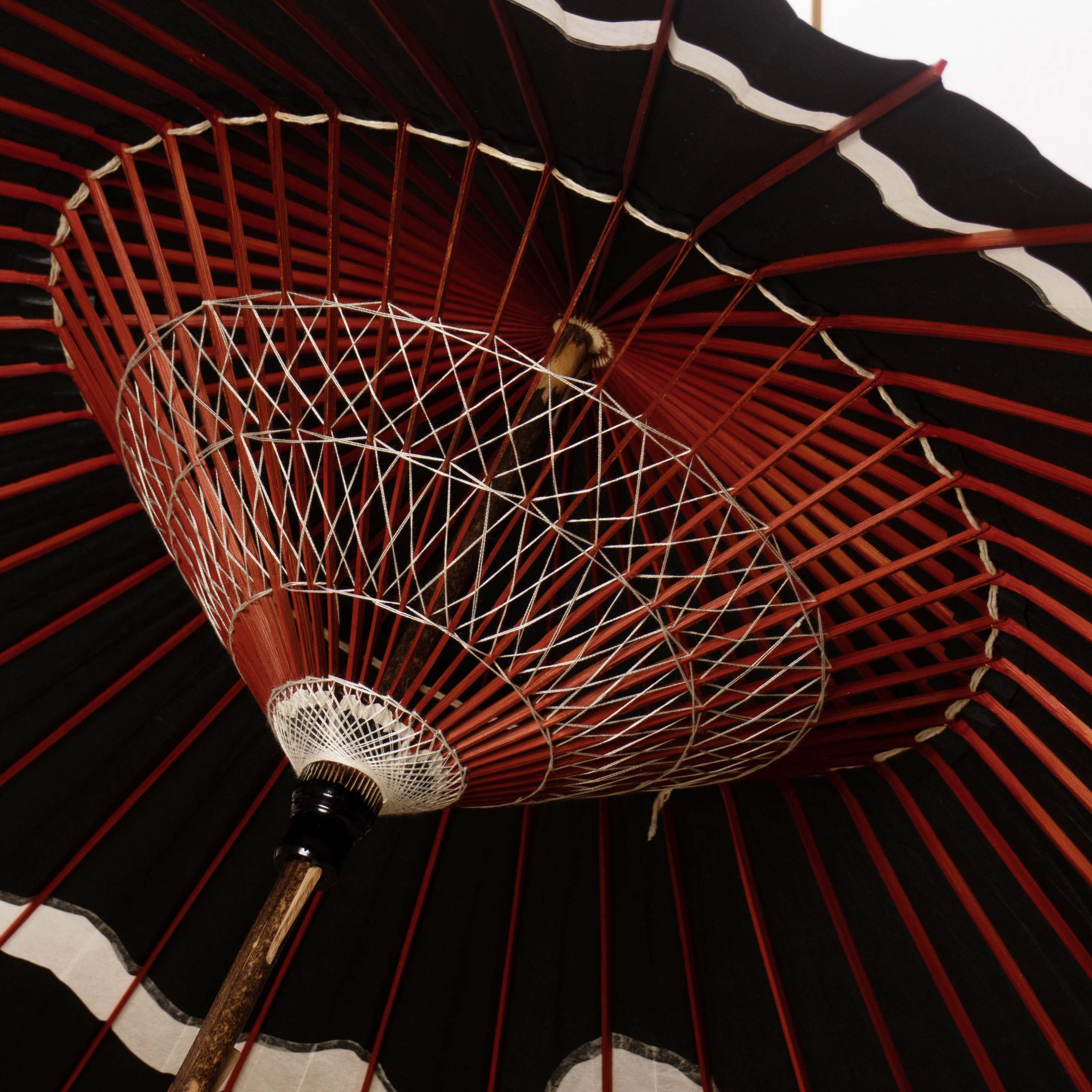 Pure White（White)/High Quality