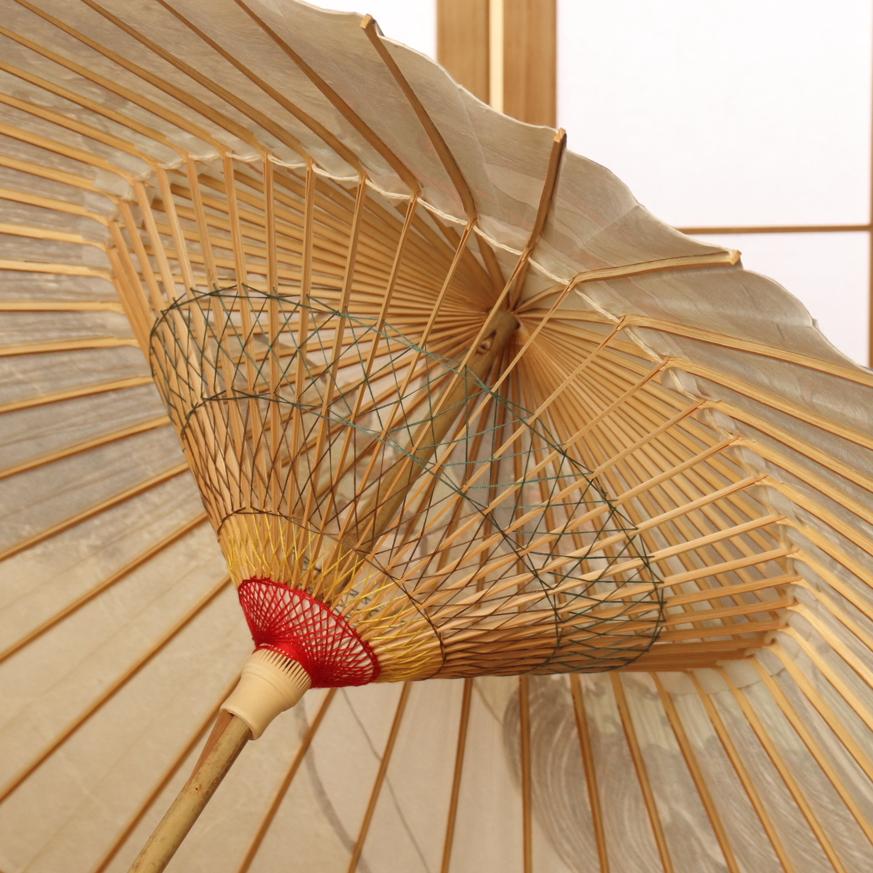 Janome Umbrella -Fujin(Wind God)-