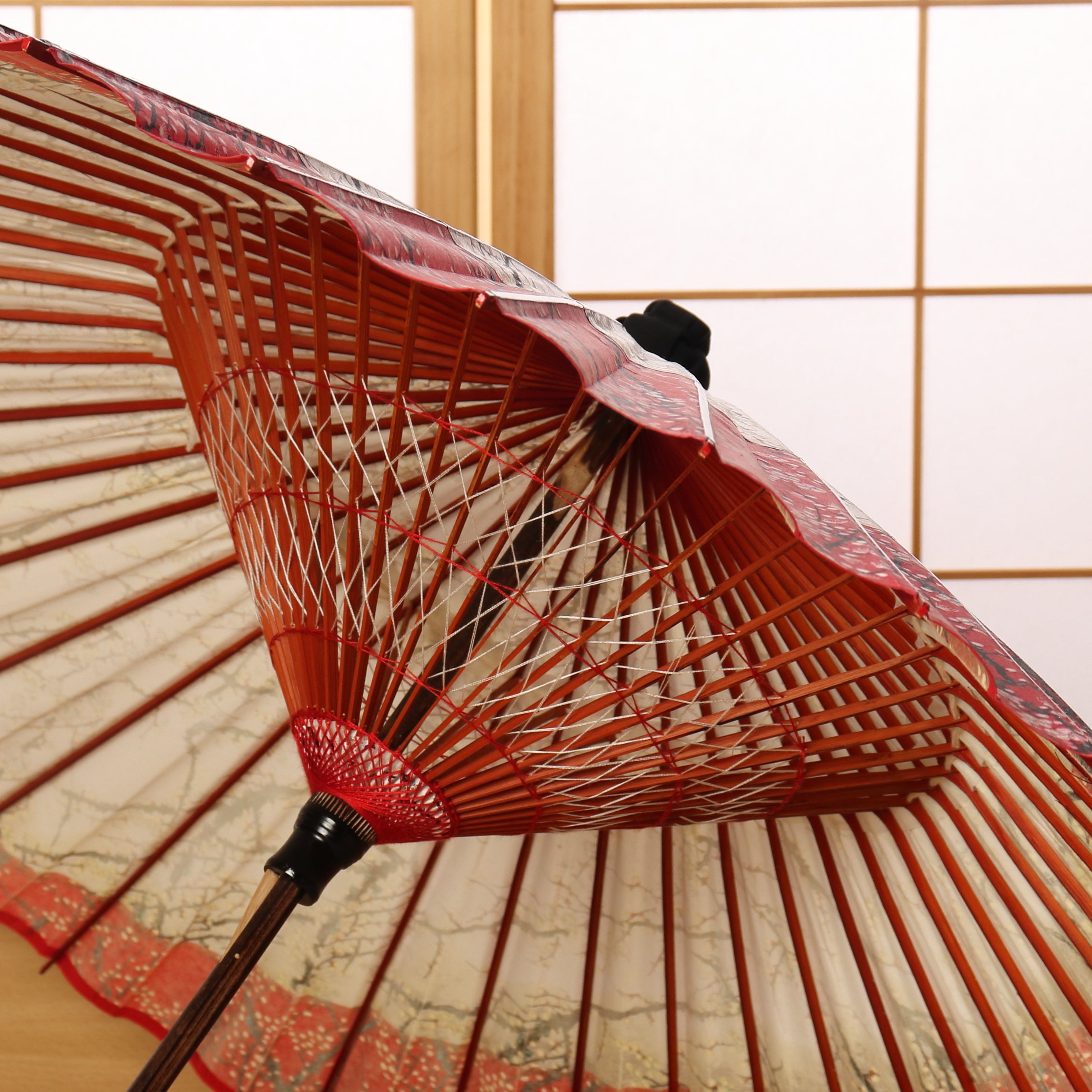 特選月奴『銀彩 梅流水 凛の華』