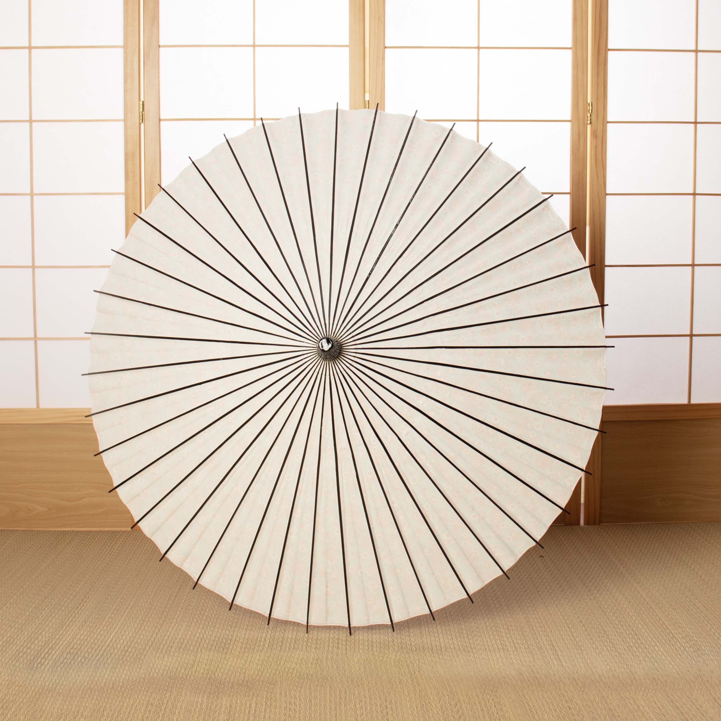Flower opening / Cherry blossoms and flower balloons/ Japanese parasol