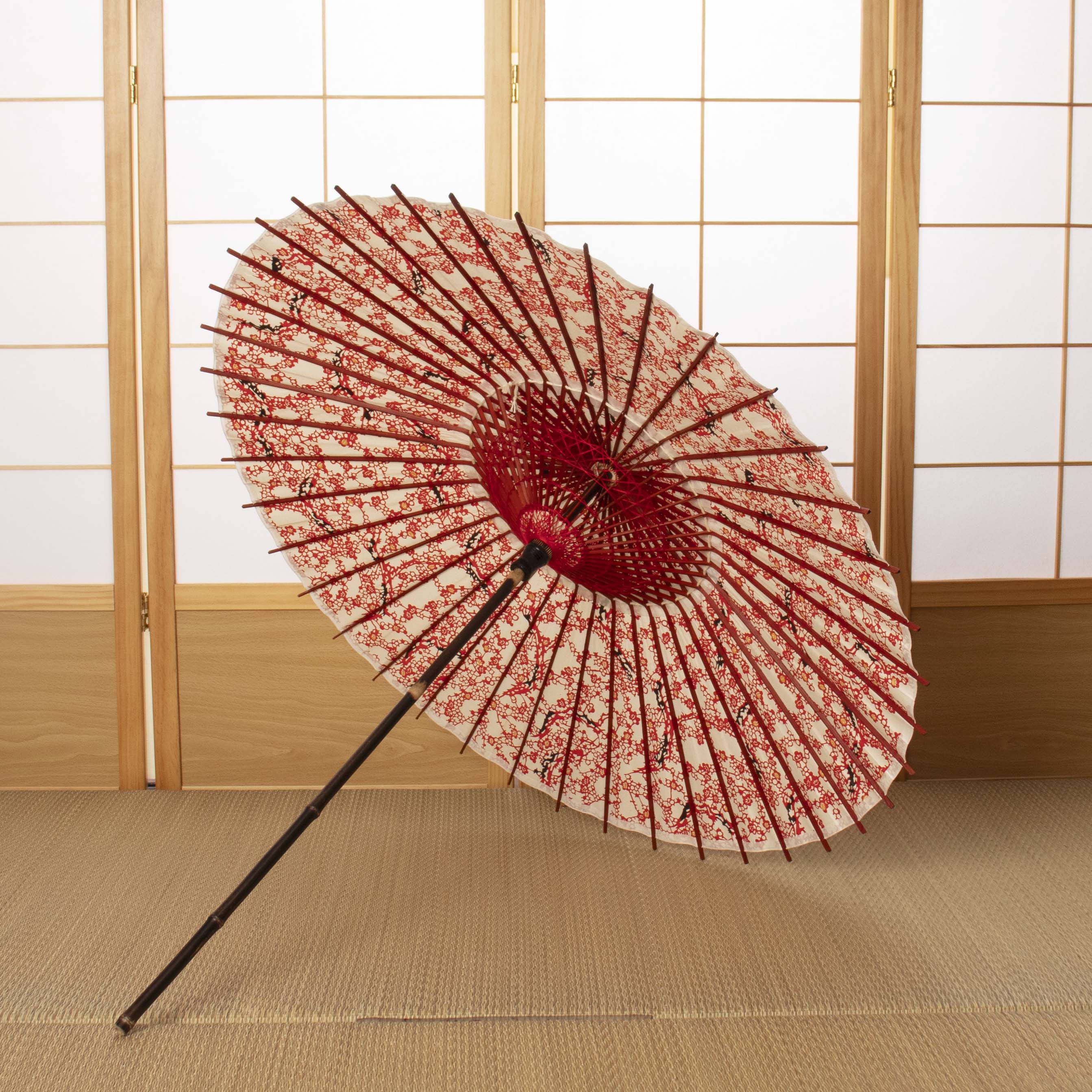 黒竹日傘『花ひらく 利休梅』