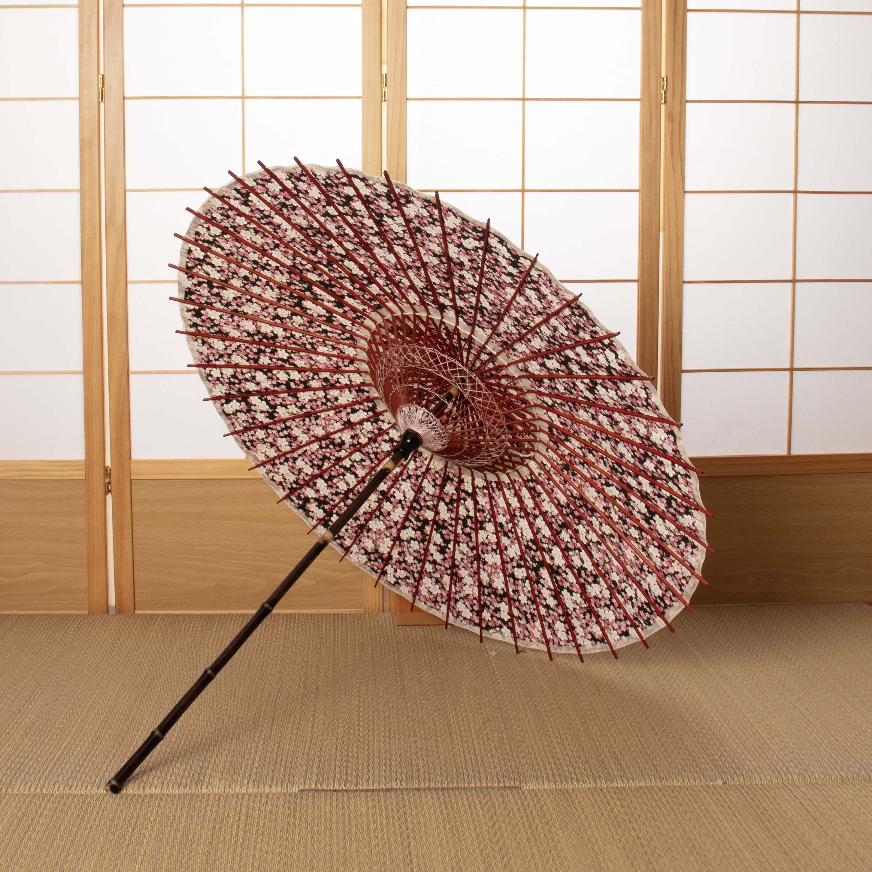 Flower opening / Plum blossom at night / Japanese parasol