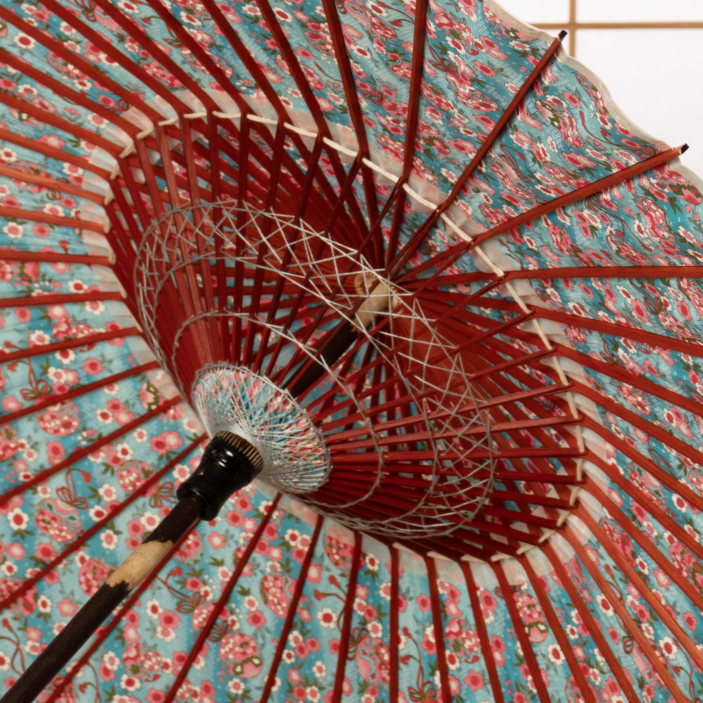 Flower opening / Cherry blossoms and flower balloons/ Japanese parasol