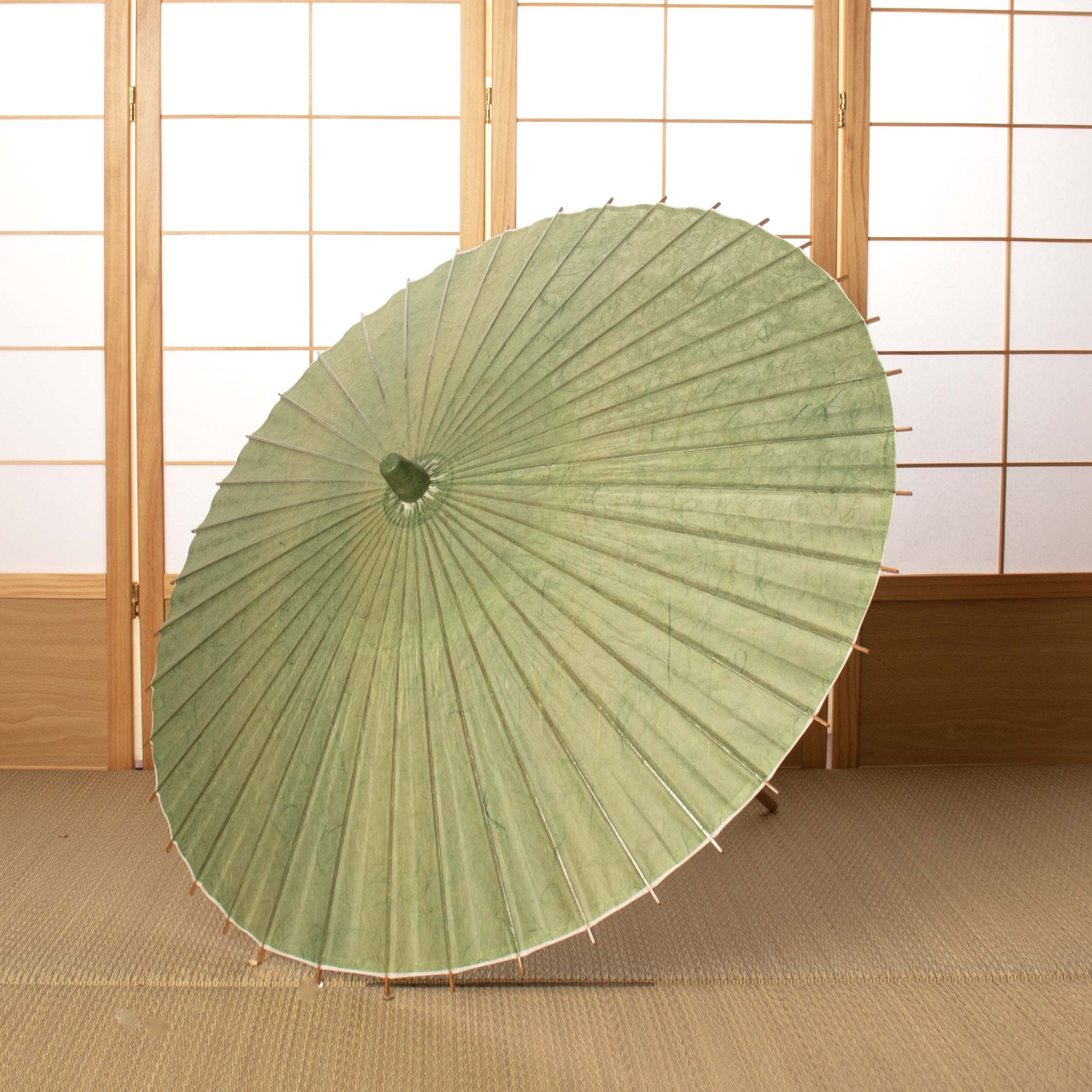 Light Green / Higasa_Specially selected Kurotani Washi