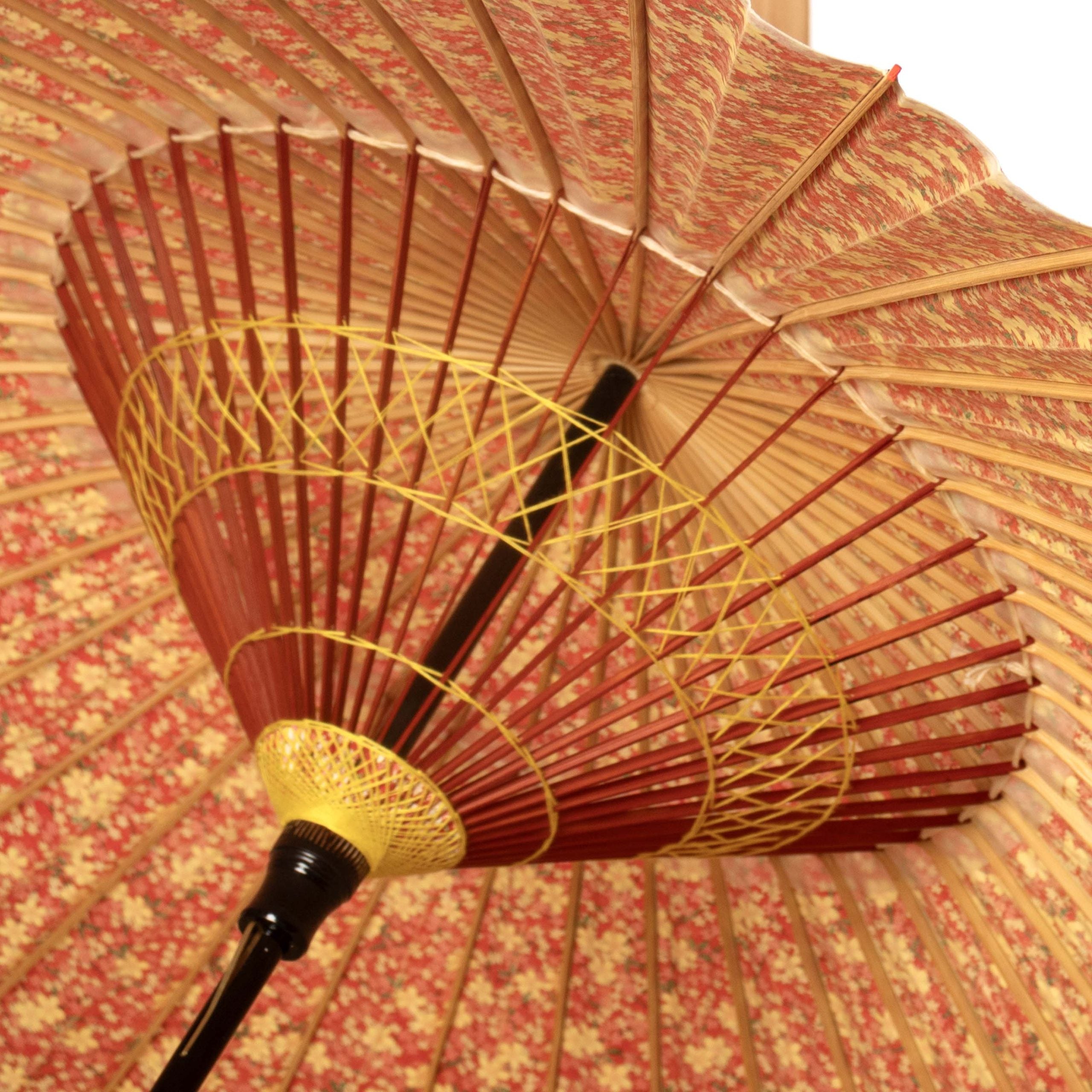 金彩京友禅『桜日和』 赤