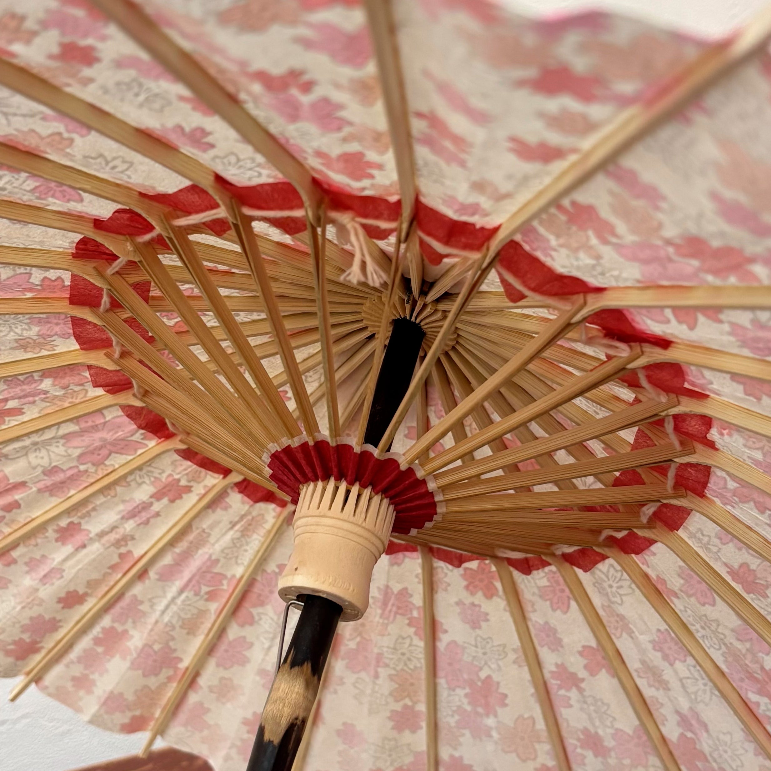 姫和傘 『匠の小さな和傘』白地にリボン桜