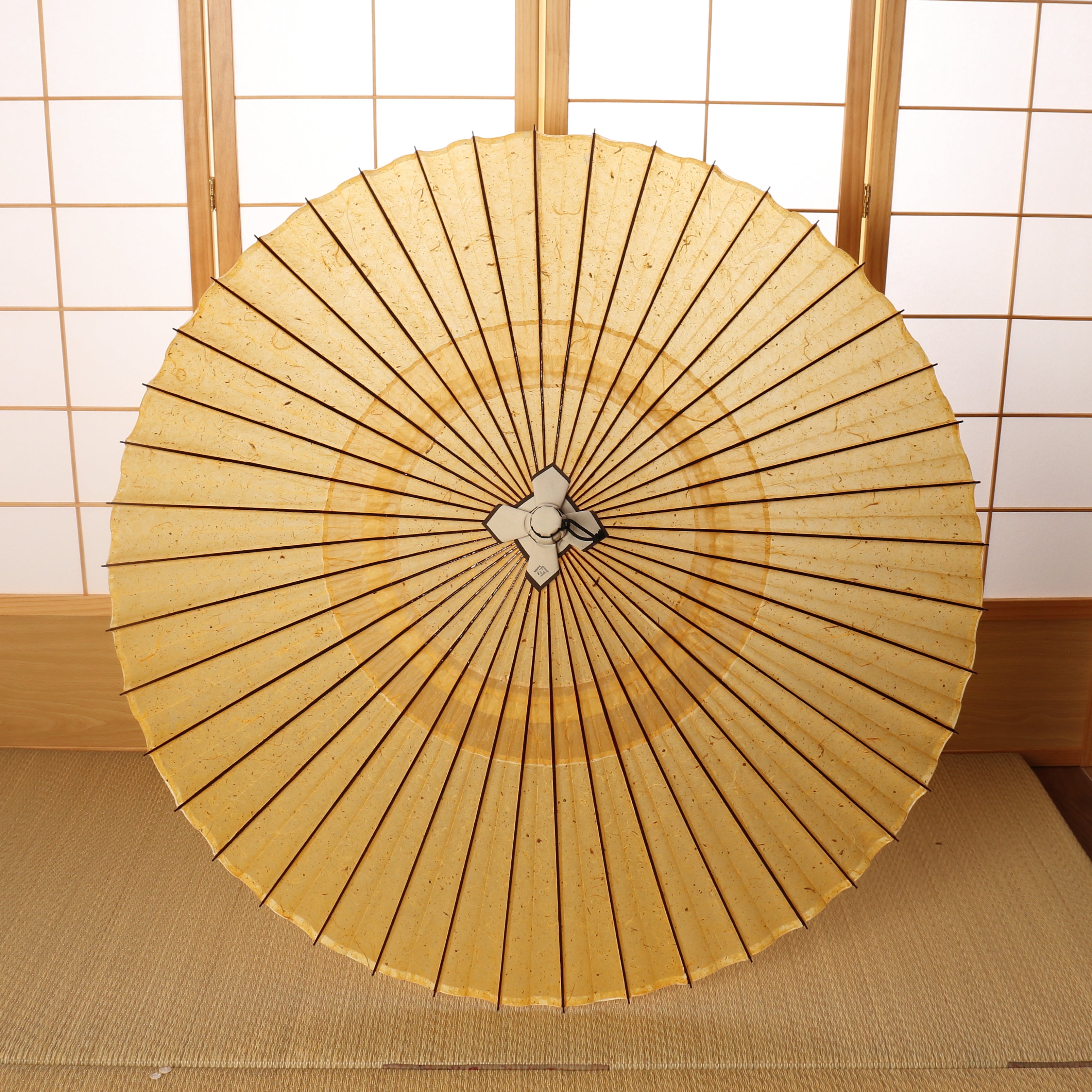 辻倉『極み』蛇の目柄/黒谷 / 琥珀霞