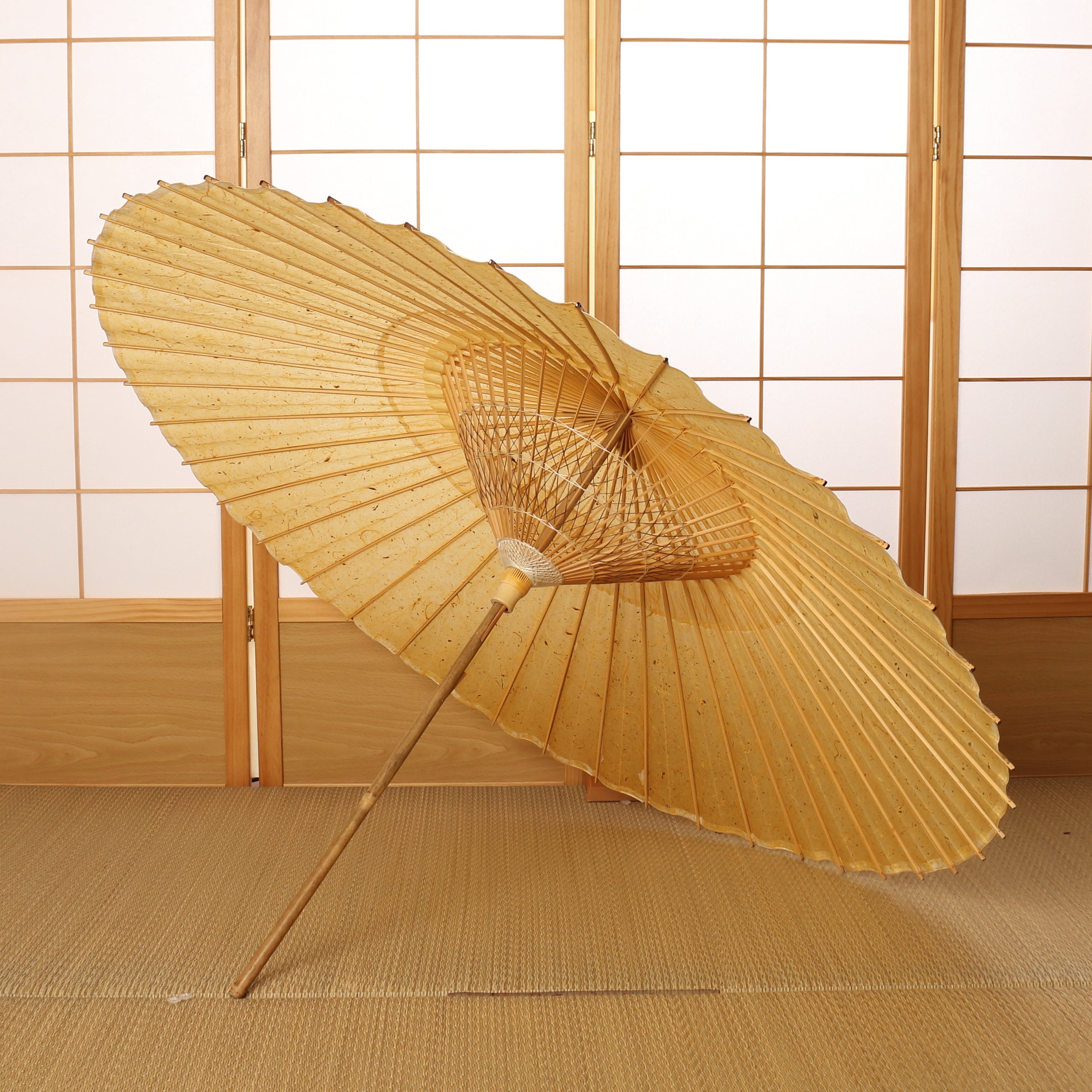 辻倉『極み』蛇の目柄/黒谷 / 琥珀霞