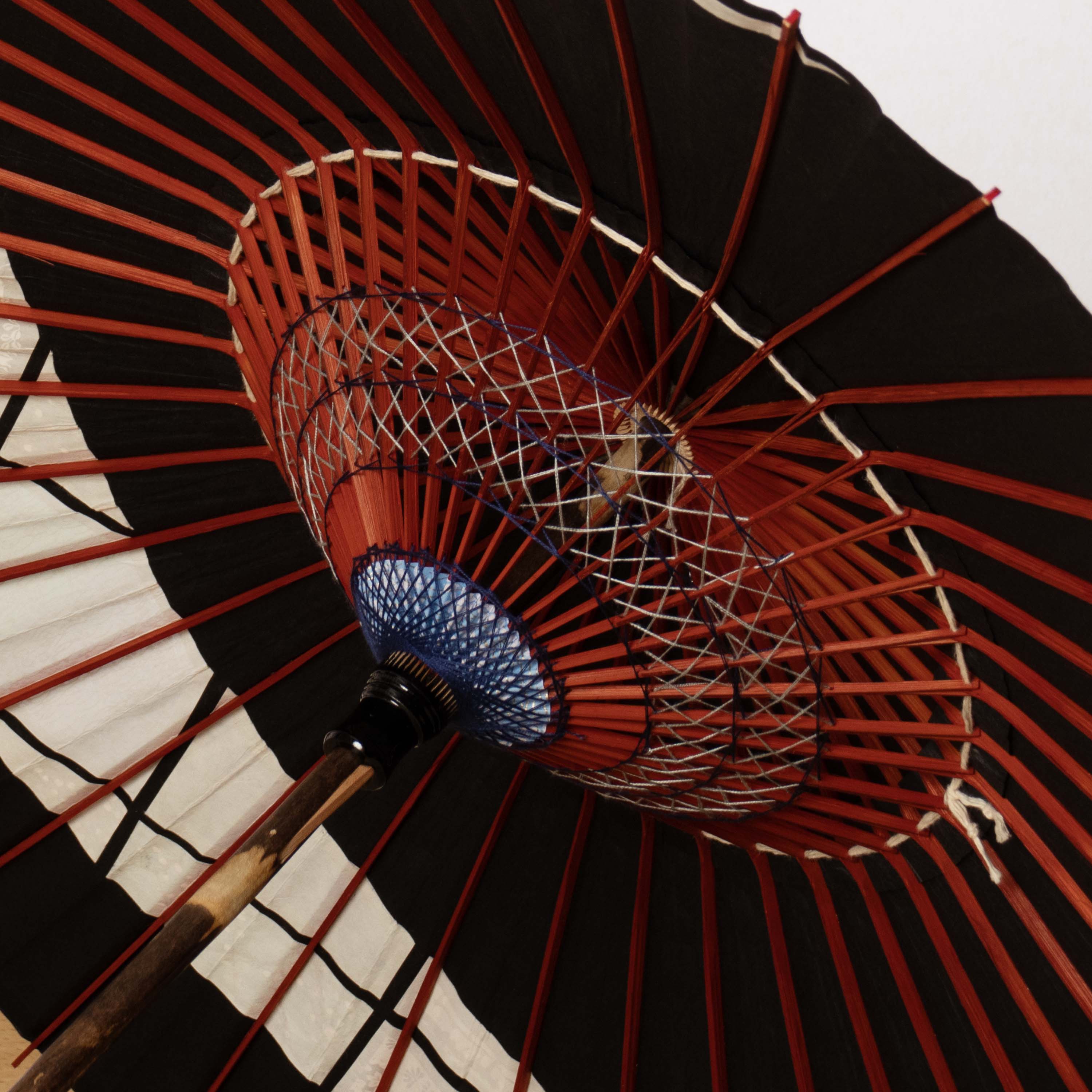 四季の窓  『涼華』