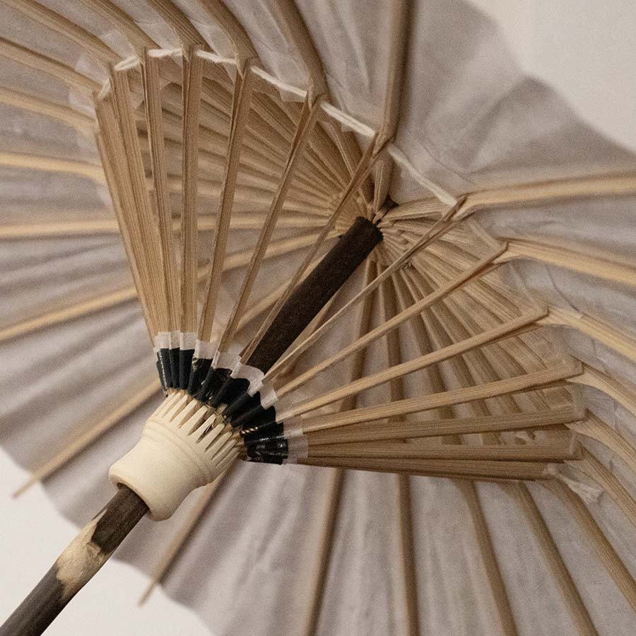 Water Surface/ Mini Wagasa