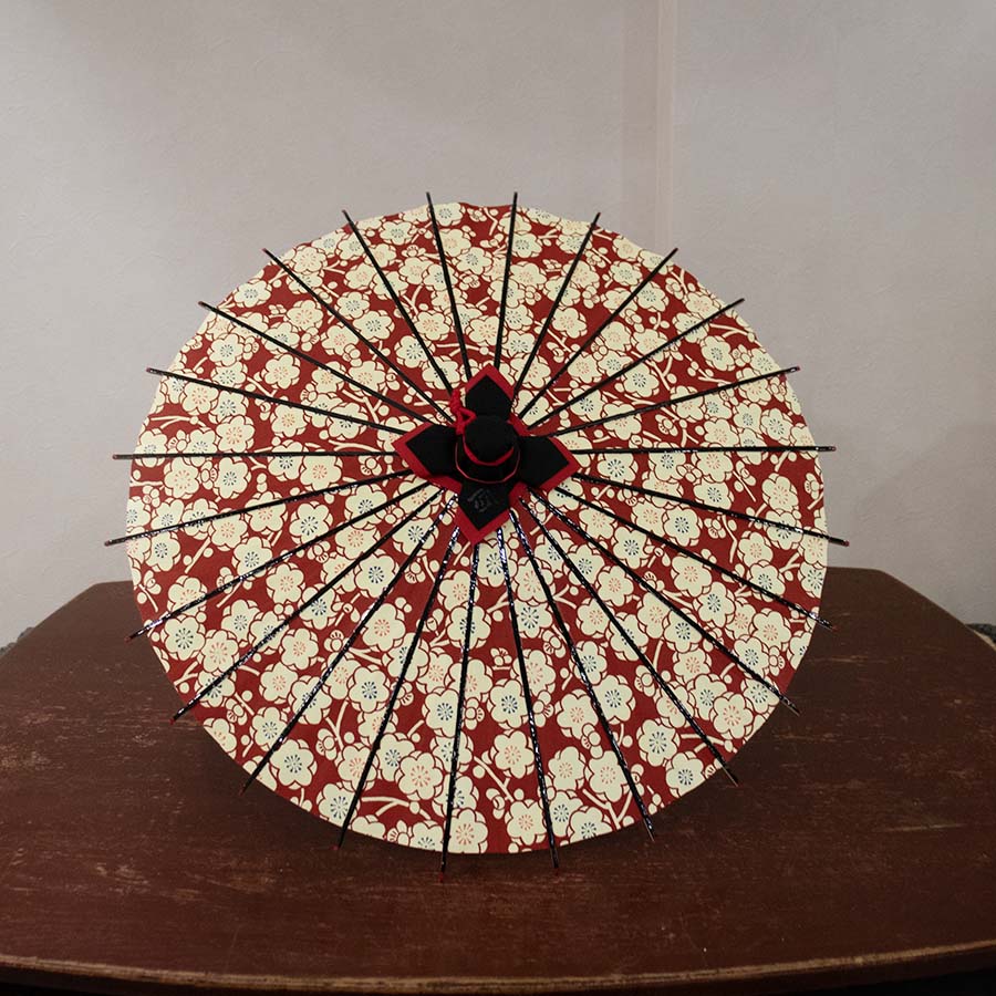 Water Surface/ Mini Wagasa