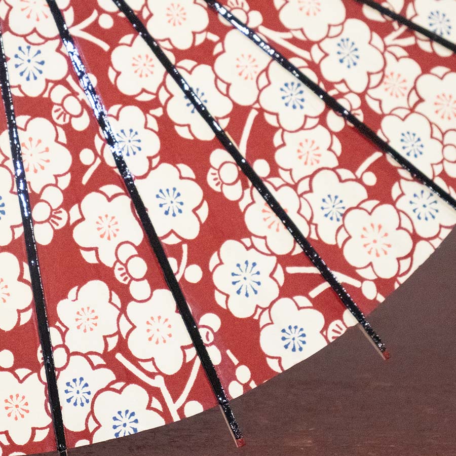 Water Surface/ Mini Wagasa