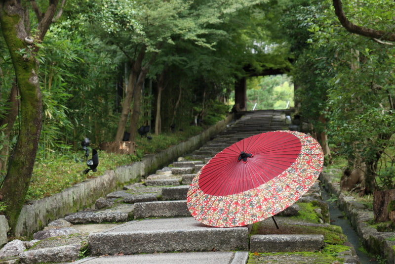 四季徒然 「夏を楽しむ和日傘」 - 日本最古の京都和傘屋 辻倉