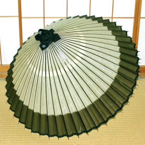 番傘 緑 軒奴 松葉　Japanese umbrella made in japan