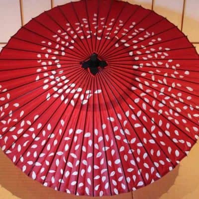 赤　和傘　桜ふぶき　sakura