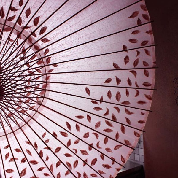 桃色の和傘に手書きで桜吹雪を傘全体に散らしています。雨傘です。