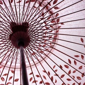 桃色の和傘に手書きで桜吹雪を傘全体に散らしています。雨傘です。