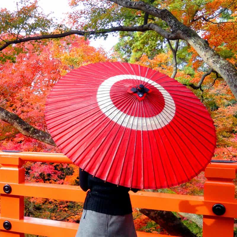 和傘と番傘の違い 日本最古の和傘屋辻倉