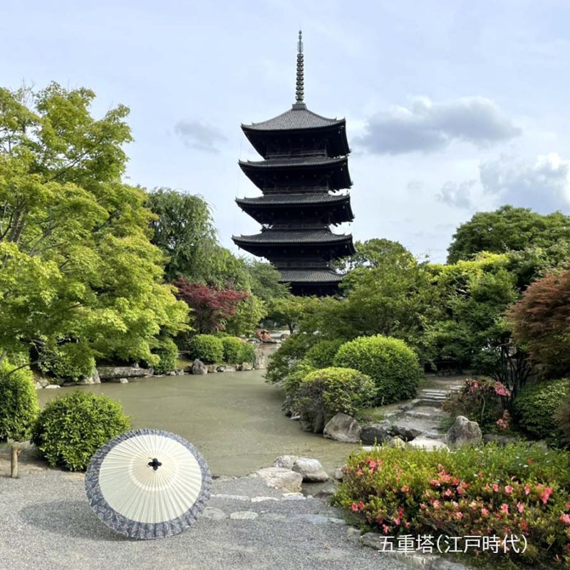 東寺の五重塔と和傘