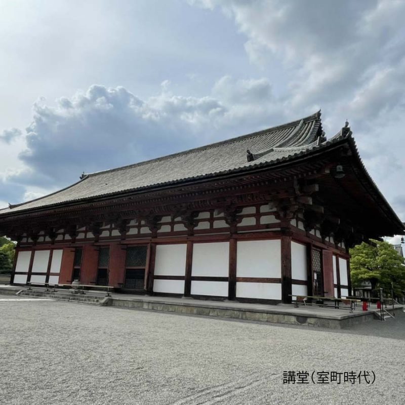 東寺の五重塔と和傘