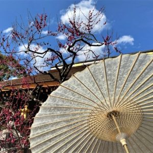 京都黒谷和紙の特選番傘