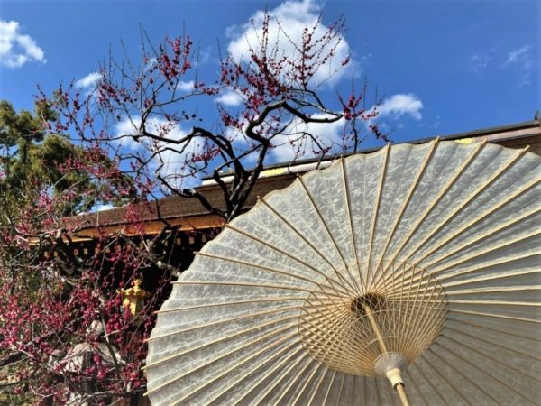 京都黒谷和紙の特選番傘