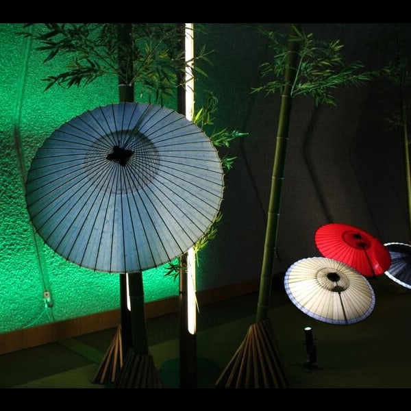 Japanese Umbrella/Interior