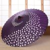 桜吹雪の紫の傘