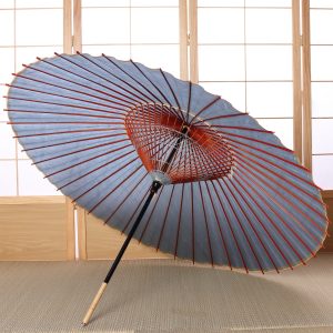 水色の透明感のある和傘