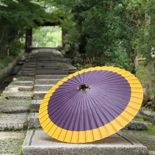 高台寺の前の紫と黄金色の和傘
